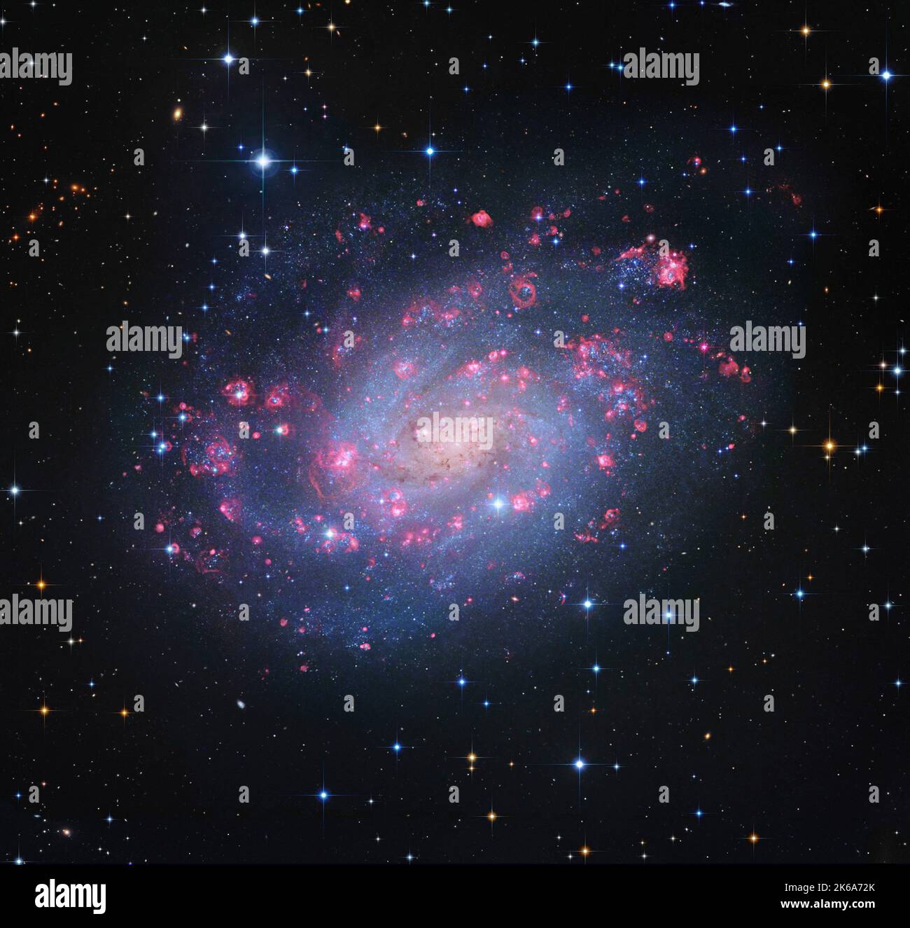NGC 300, Spiralgalaxie in Bildhauer. Stockfoto