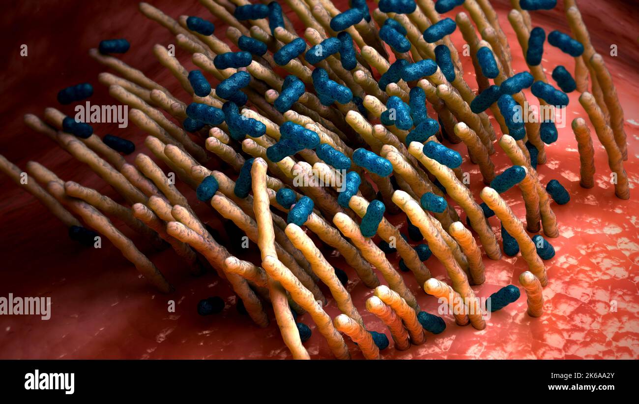 Konzeptionelle biomedizinische Illustration der bakteriellen Erkrankung