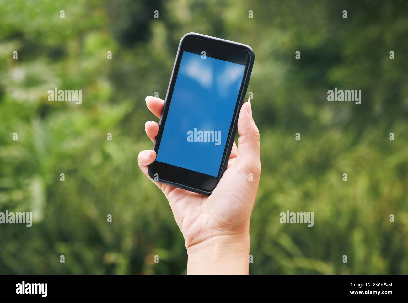Natur, Hand der Frau mit Telefon und Mockup oder grünen Bildschirm, kontaktieren Sie uns draußen. Pflanzen im Freien, Blätter im Hintergrund und Smartphone in Händen mit 5G Stockfoto