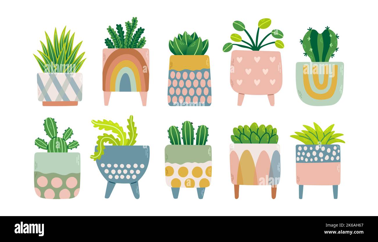 Die Pflanzen sind in bunten Blumentöpfen aufgestellt. Trendige Wohnkultur mit Pflanzen Vektor-Illustration. Blumen im Topf Stock Vektor