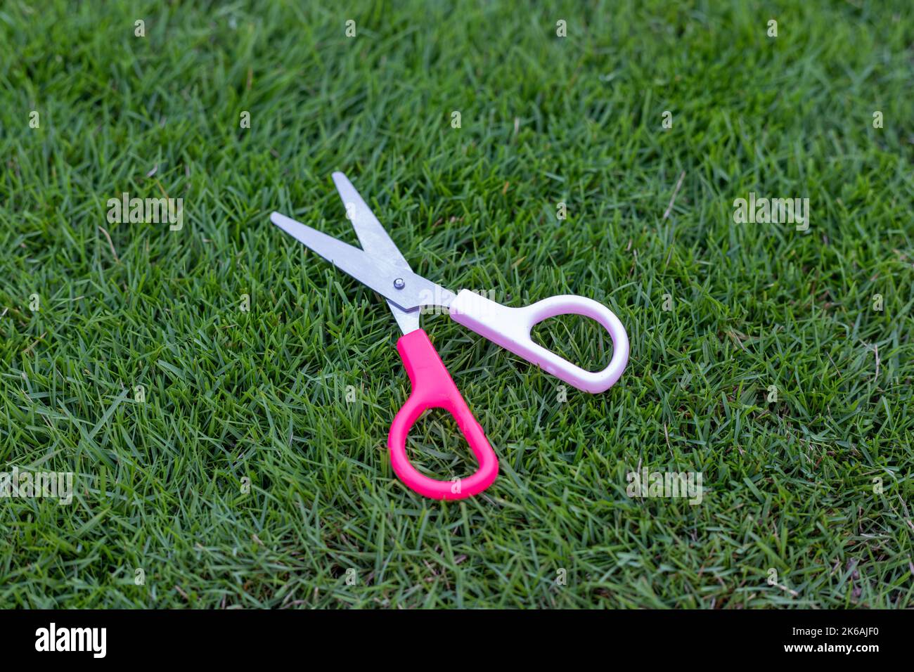 Kleine Schere für Stecklinge das Gras Stockfoto