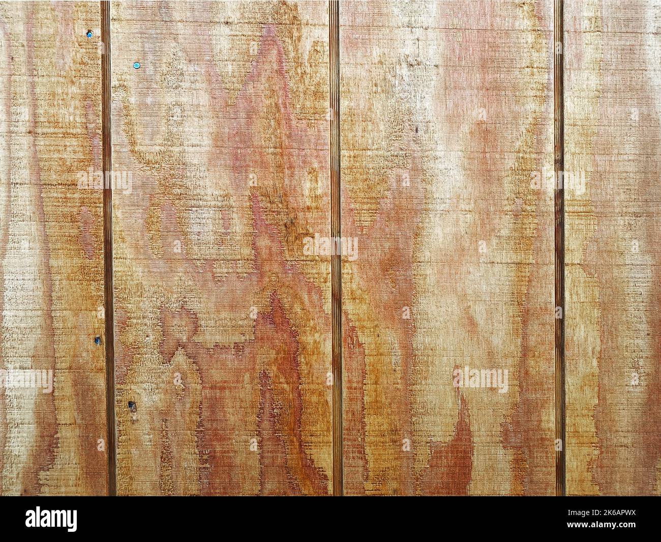 Eine Retro-Nahaufnahme Holzvertäfelung Board Holz natürliche Industrie Interieur lackiert Garage Schuppen Bereich Haus Fassade Baumaterial vintage Stockfoto