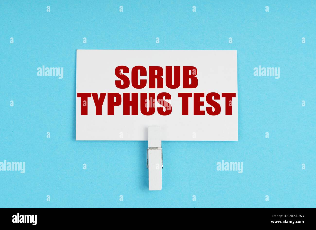 Medizinkonzept. Auf blauem Hintergrund befinden sich Pillen und eine Visitenkarte mit der Aufschrift - Scrub Typhus Test Stockfoto