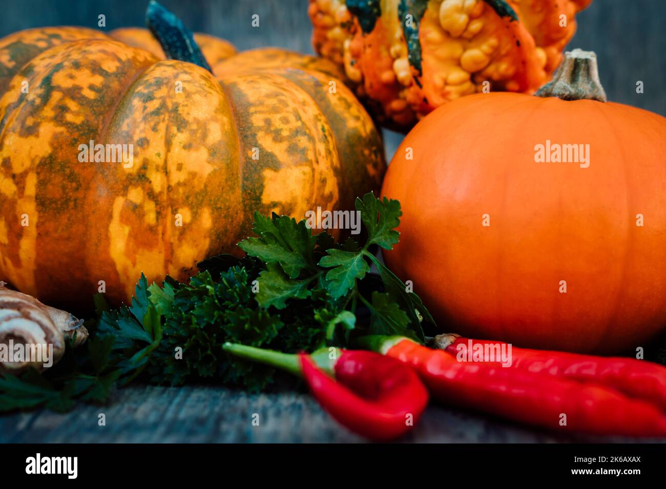 Chilischoten, Kürbisse, Petersilie Herbstgemüse auf einem Holztisch Stockfoto