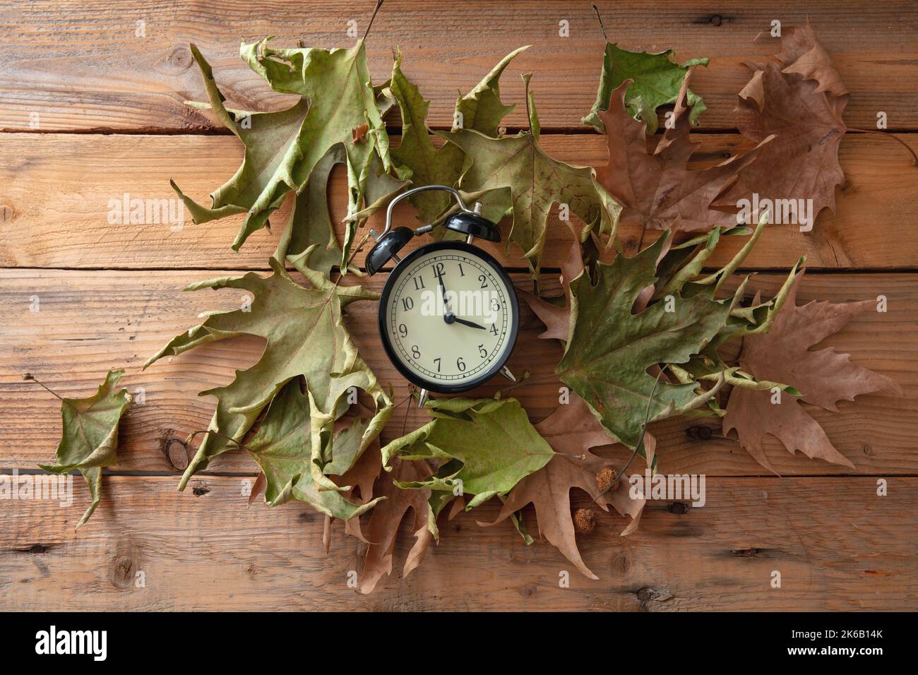 Sommerzeit, Fall Back. Schwarzer Wecker und Herbstblätter auf Holztisch, Draufsicht Stockfoto