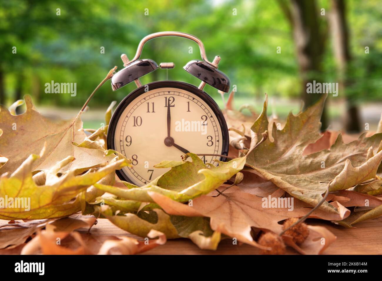 Rückfall Sommerzeit. Schwarzer Wecker und Herbstblätter auf Holztisch, Herbstbäume und Blätter Hintergrund Stockfoto