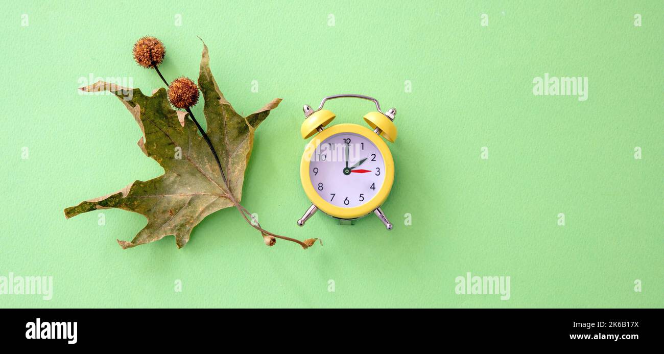 Rückfall, Sommerzeit. Eine Stunde zurück auf gelber Uhr und Herbstlaub auf grünem Hintergrund, Draufsicht Stockfoto