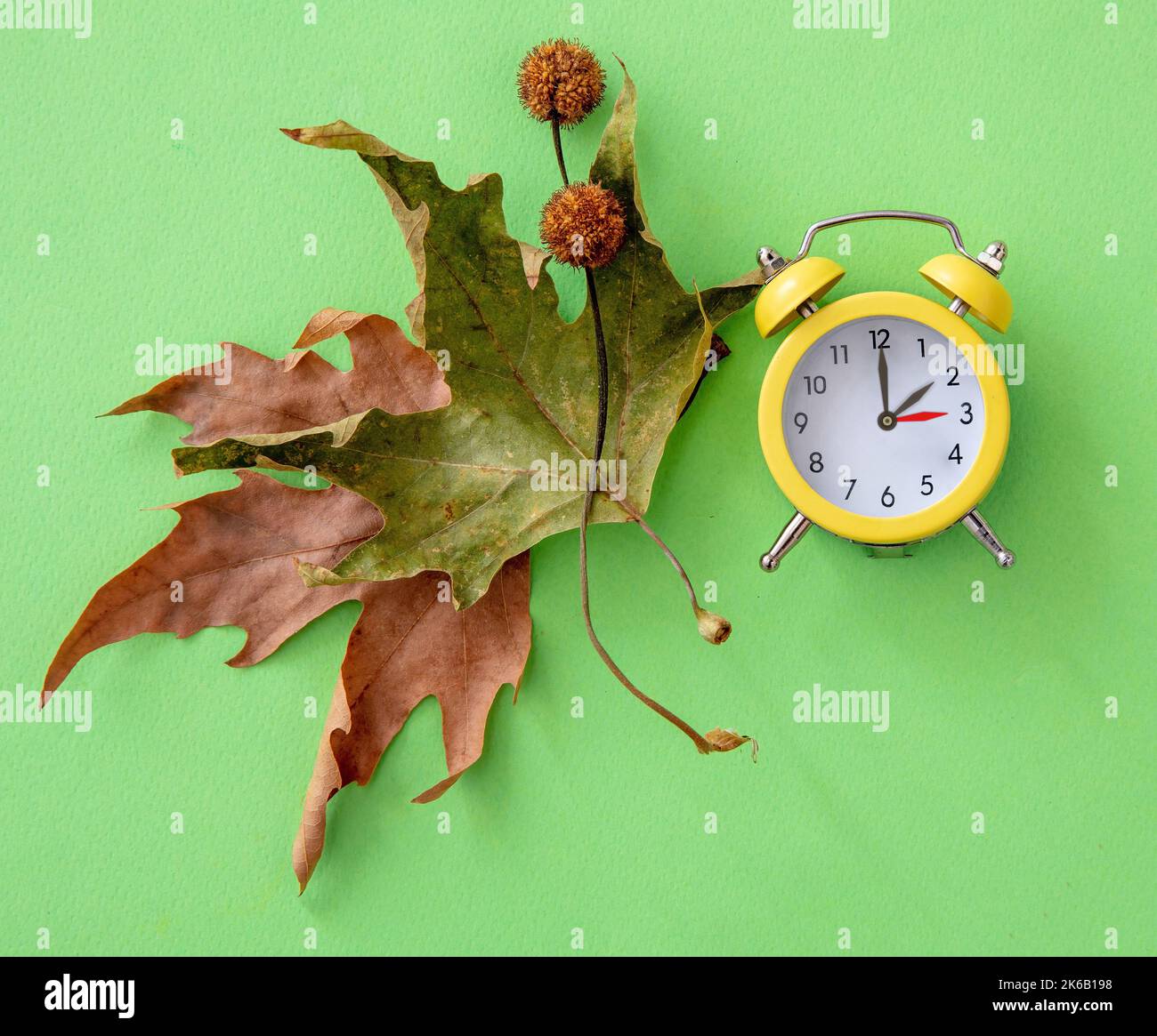Rückfall, Sommerzeit. Eine Stunde zurück auf gelber Uhr und Herbstblätter auf grünem Hintergrund, oben blickbraun Stockfoto