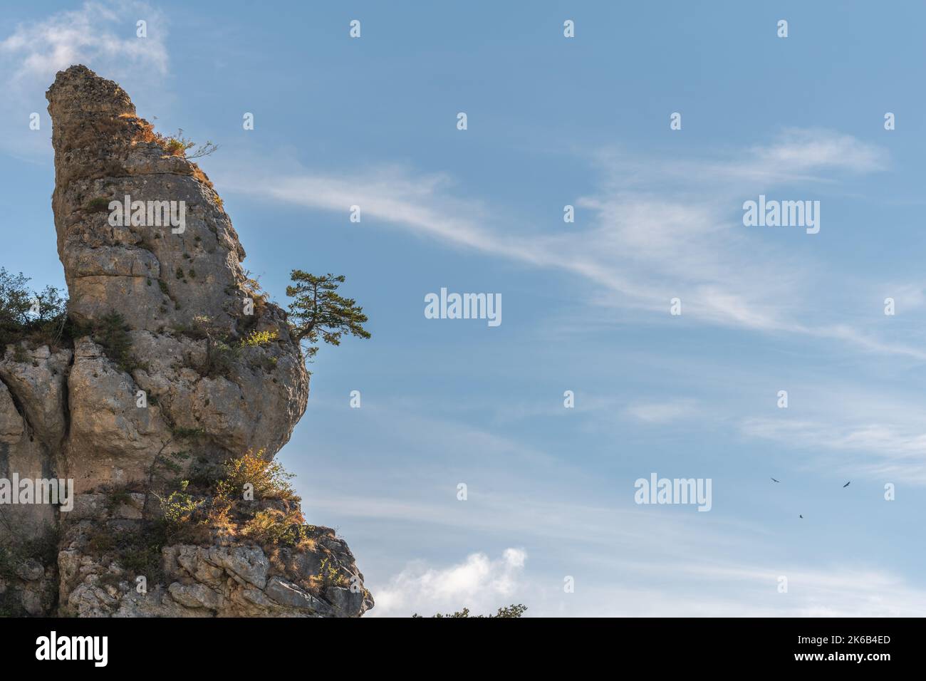 Baum auf felsigen Gipfel in den Schluchten von jonte. Aveyron, Cevennes, Frankreich. Stockfoto