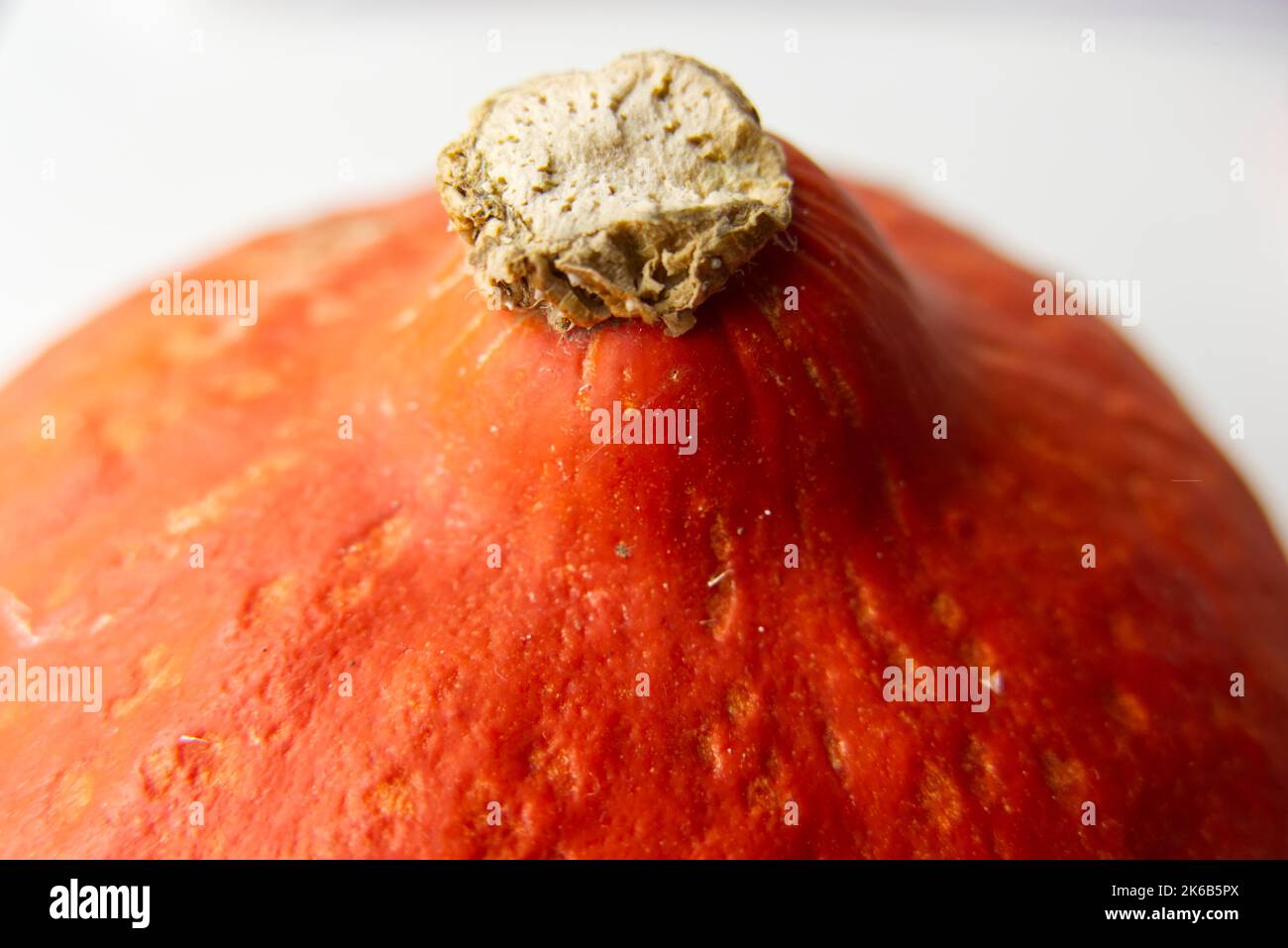 Nahaufnahme der Oberseite eines orangefarbenen Uchiki Kuri-Kürbisses bei natürlichem Tageslicht. Stockfoto