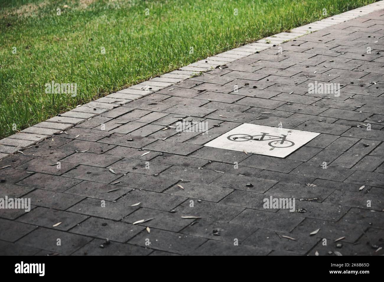 Ein leerer Radweg in einem öffentlichen Park zwischen Grasrändern Stockfoto