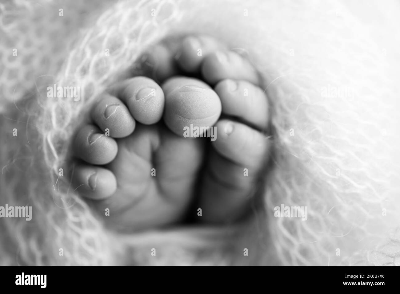 Weiche Füße eines Neugeborenen in einer Wolldecke Nahaufnahme der Zehen, Fersen und Füße eines Babys.der kleine Fuß eines Neugeborenen. Stockfoto