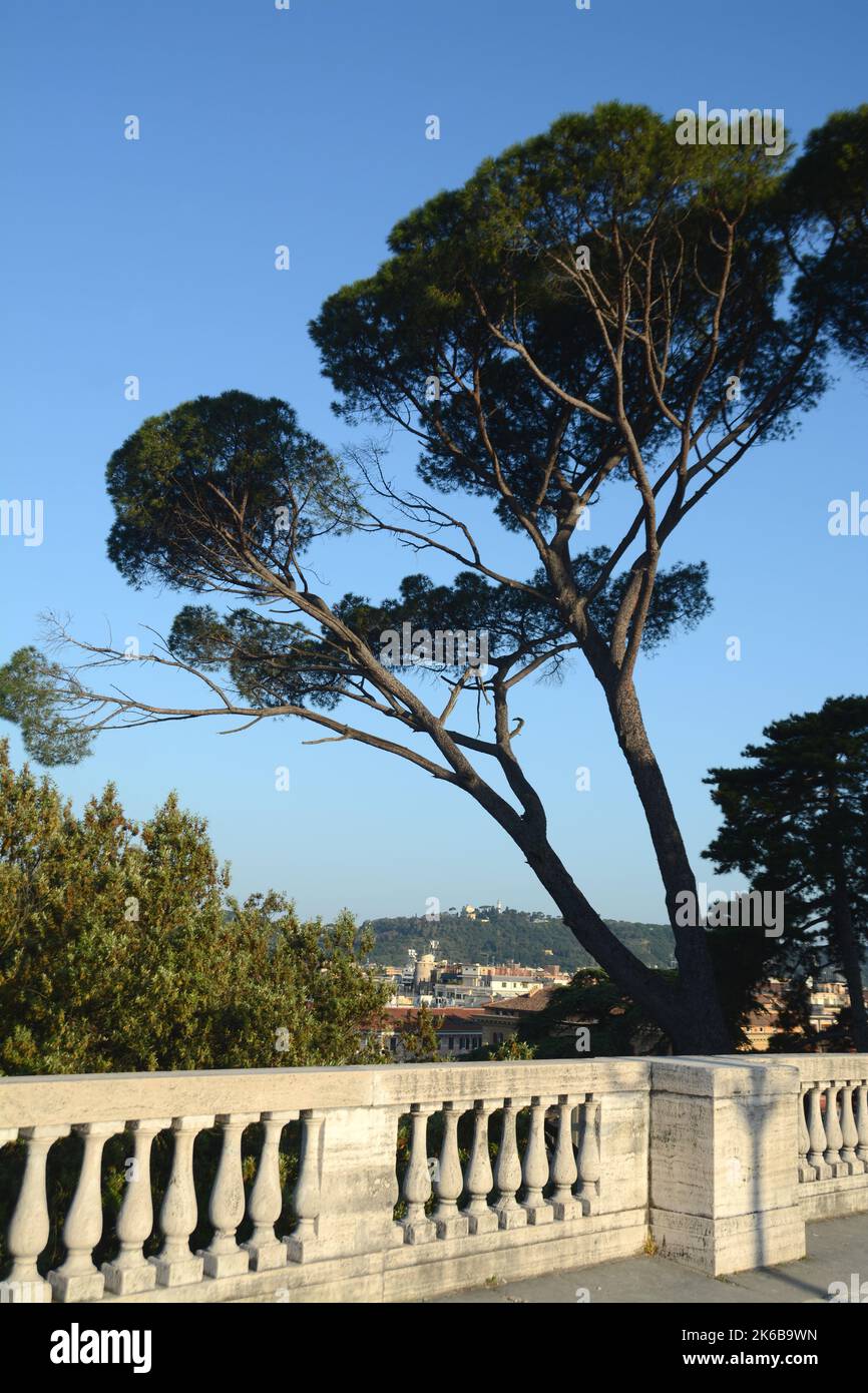 Die barocke Terrasse des Pincio, ein bekannter Aussichtspunkt der Villa Borghese mit ihren spektakulären Dachkiefern. Stockfoto