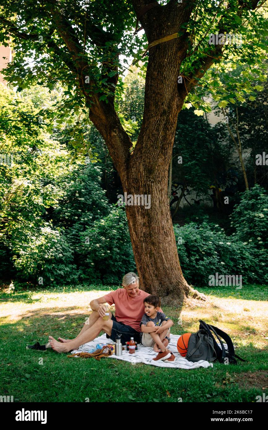 Großvater und Enkel sitzen während des Picknicks vor einem Baum im Park Stockfoto
