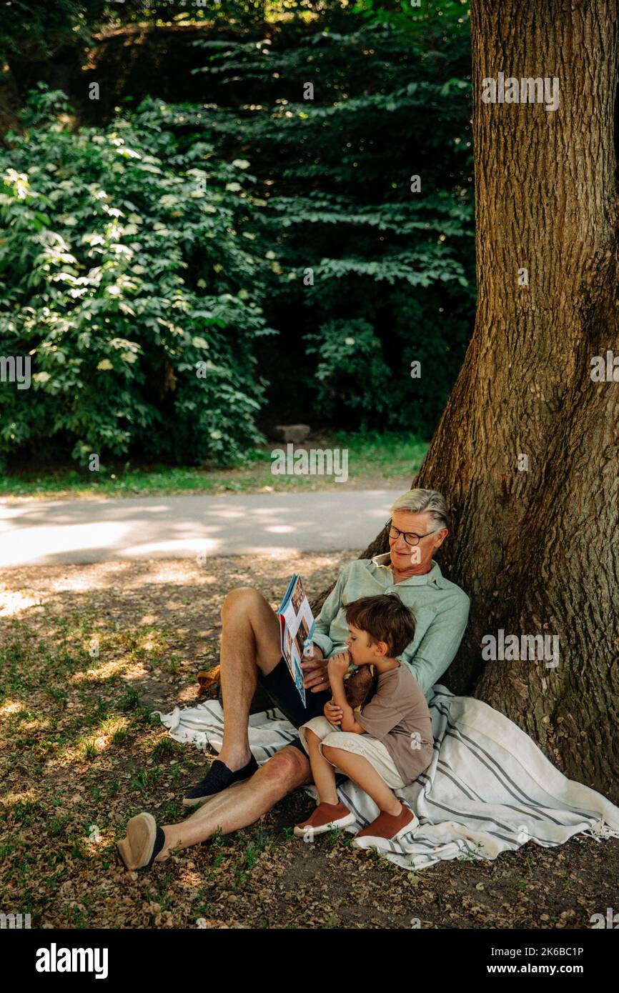 Großvater liest dem Enkel das Märchbuch vor, während er unter dem Baum im Park sitzt Stockfoto