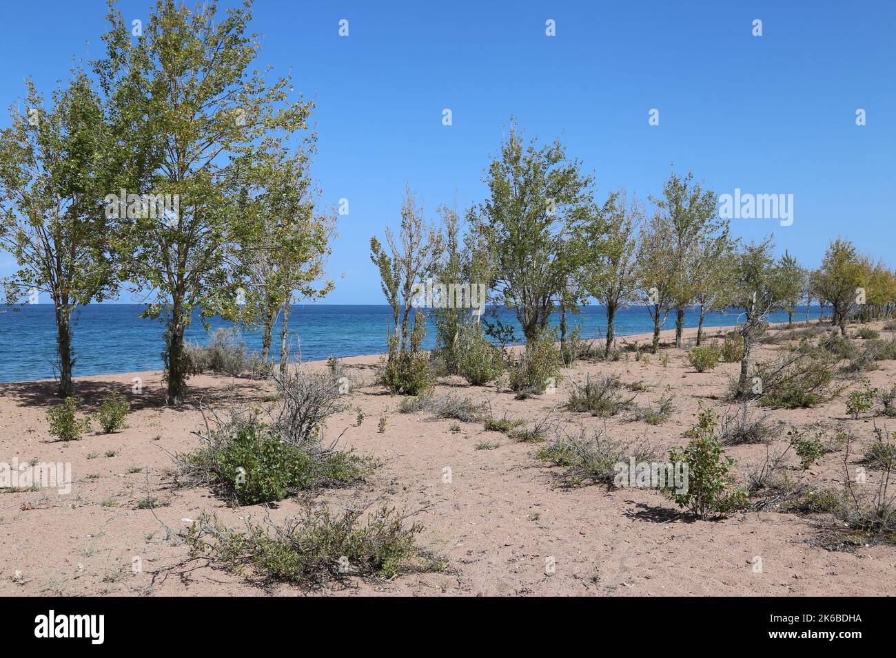 See Strand in Tosor, Issyk Kul, Issyk Kul Region, Kirgisistan, Zentralasien Stockfoto