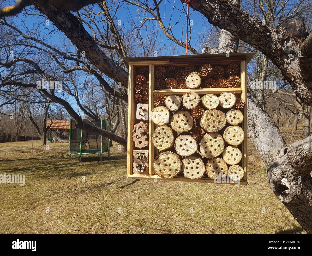 Insektenhotel im Freien, das an einem Ast hängt Stockfoto