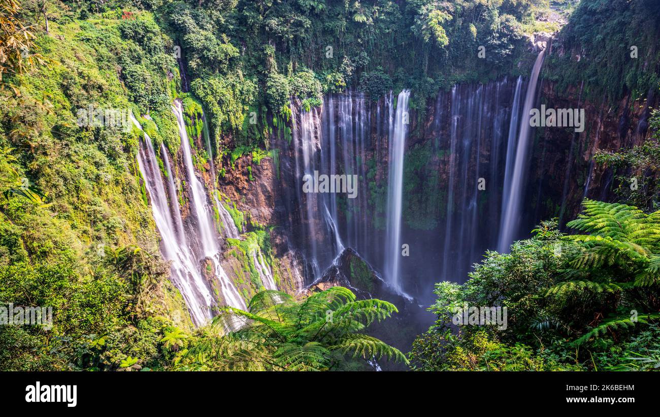Tumpak Sewu Wasserfall von oben, Ost-Java, Indonesien Stockfoto