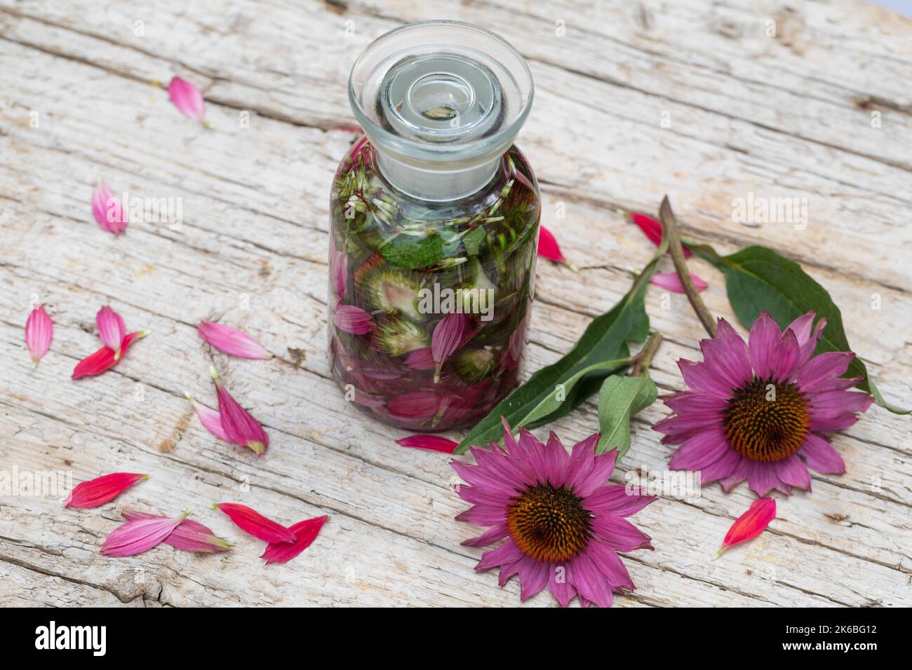 Sonnenhut-Tinktur, Sonnenhut, Tinktur, Tinkturen, alkoholischer Auszug aus Blüten und Blättern, Sonnenhut-Kraut, Igelkopf, Echinacea spec., Rudbeckia Stockfoto