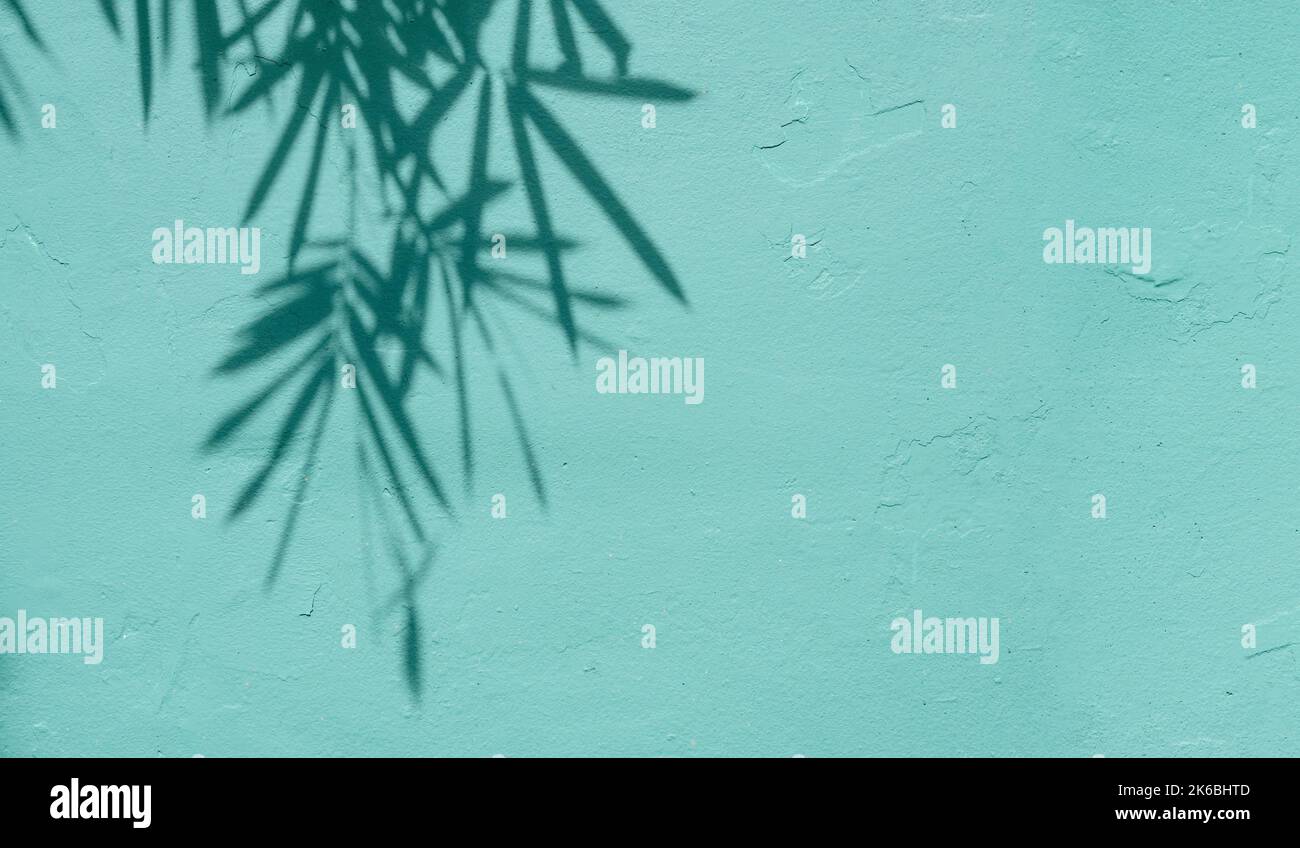 Natürliche Schatten der tropischen Pflanze an der Gebäudefassade. Türkisfarbene Vintage-Wand und Silhouetten aus Laub. Platz für Text Stockfoto