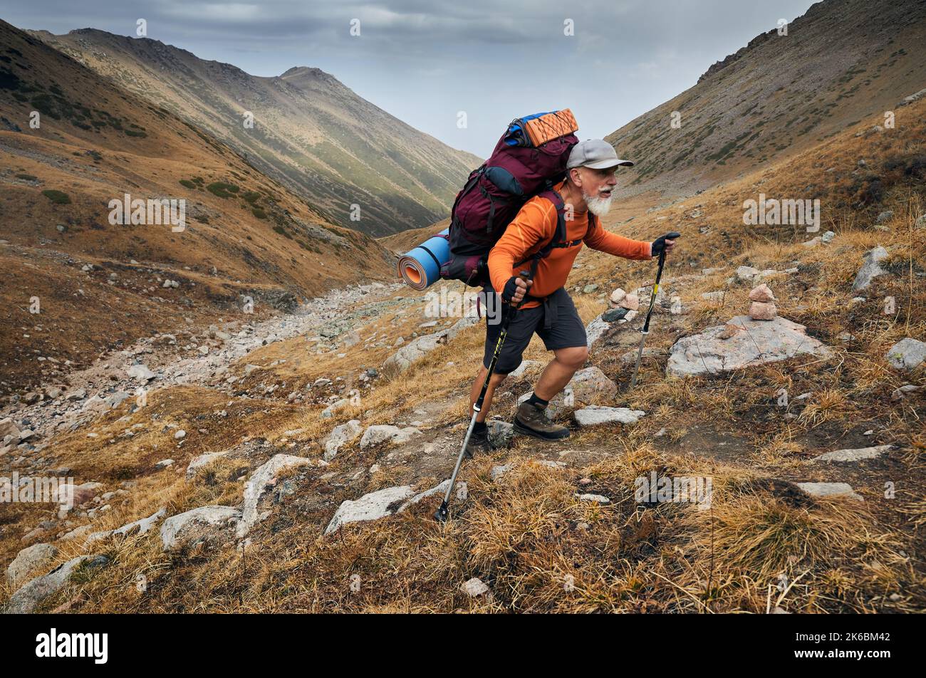 Portrait eines alten bärtigen Wanderers mit großem Rucksack und Wanderstöcken, der gegen das Bergtal läuft. Outdoor- und Trekkingkonzept. Stockfoto