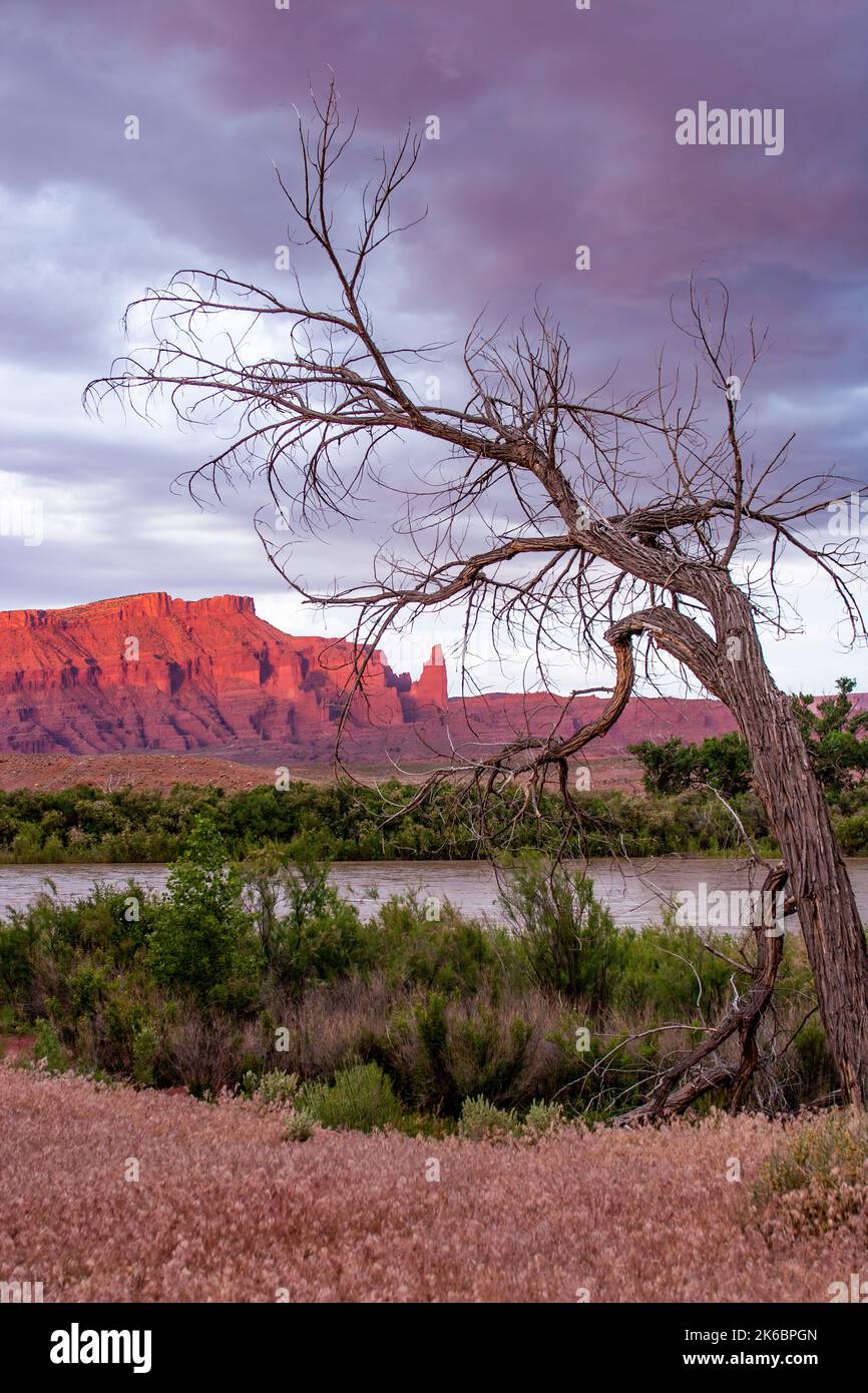 Gewitterwolken bei Sonnenuntergang über dem Colorado River, den Fisher Towers und dem Richardson Amphitheater in der Nähe von Moab, Utah. Stockfoto