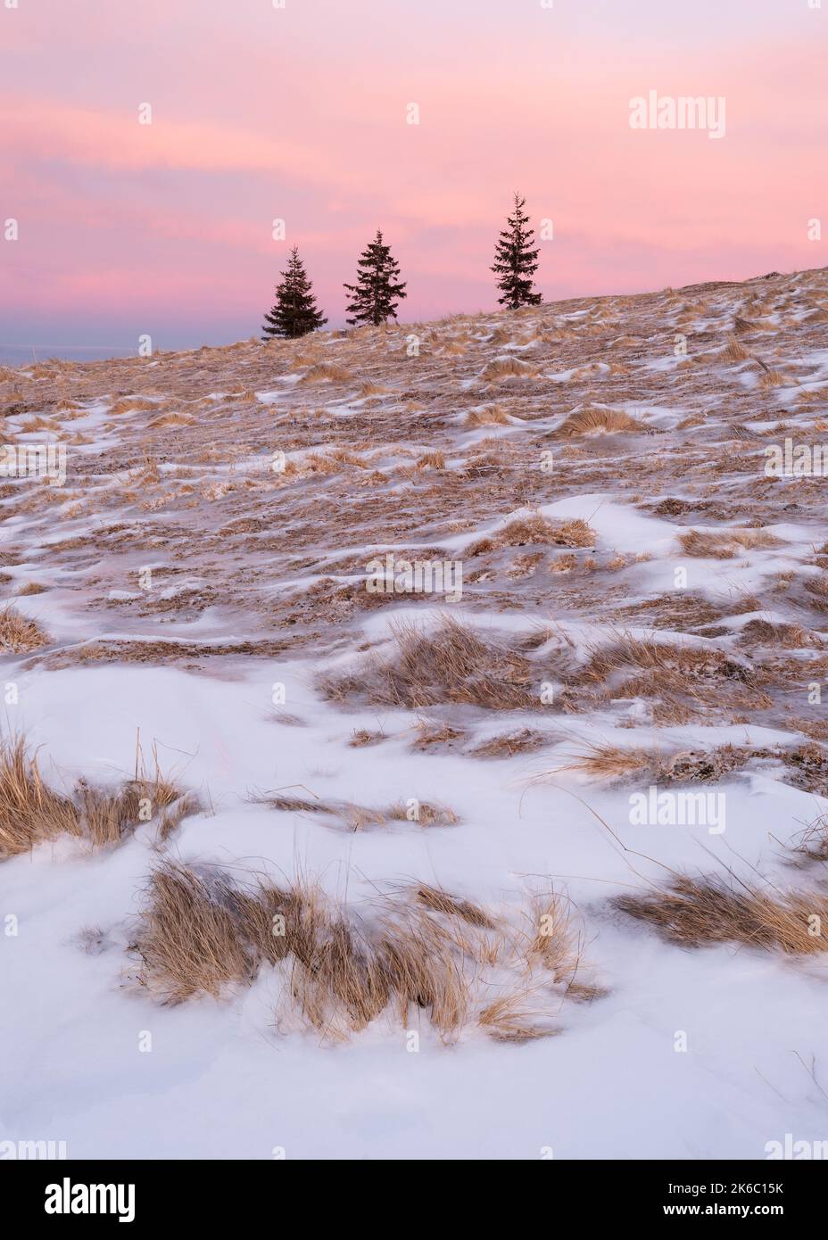 Winterlandschaft mit Sonnenuntergang und Tannenbäumen auf einem Hügel Stockfoto