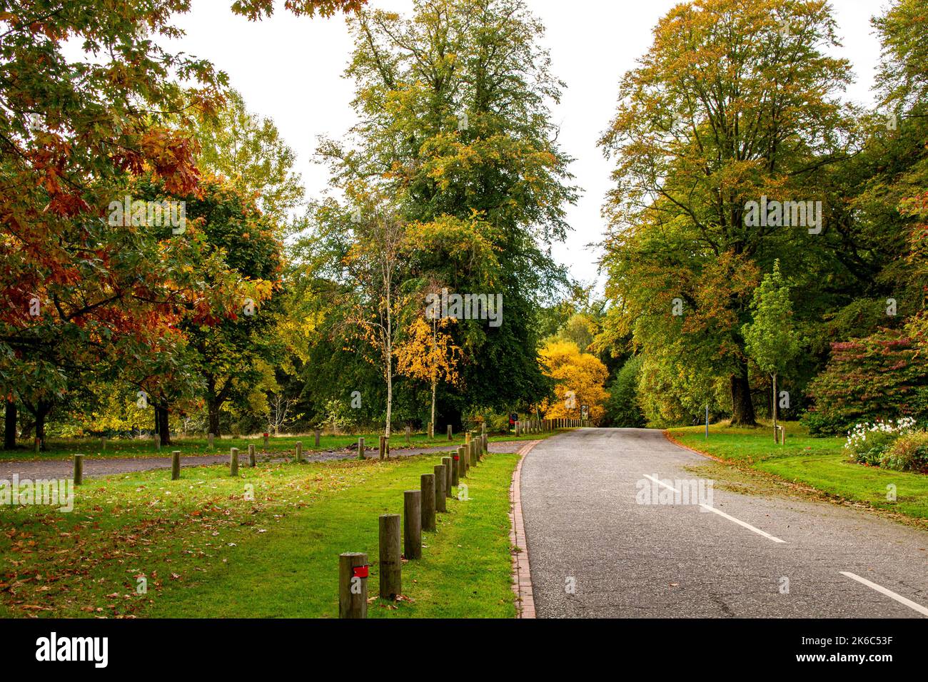 Dundee, Tayside, Schottland, Großbritannien. 13.. Oktober 2022. Wetter in Großbritannien: Nordost-Schottland erlebt einen kühlen und sonnigen Oktober mit Temperaturen um die 10 Grad Die Bäume im Camperdown Park und Wildlife Center von Dundee beginnen, Herbstfarben zu färben. Anwohner und Hundewanderer genießen das schöne Wetter, indem sie den Tag im Park verbringen und die Herbstlandschaft bewundern. Kredit: Dundee Photographics/Alamy Live Nachrichten Stockfoto