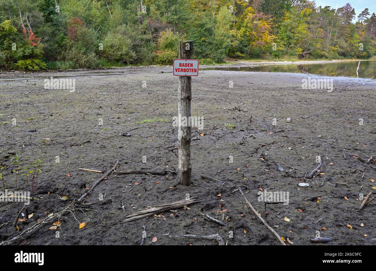 Strausberg, Deutschland. 13. Oktober 2022. Das Schild „Baden verboten“ steht seit langem auf trockenem Land an der Südspitze des Straussees. Seit Jahren sinkt der Straussee östlich von Berlin stetig. Quelle: Patrick Pleul/dpa/Alamy Live News Stockfoto