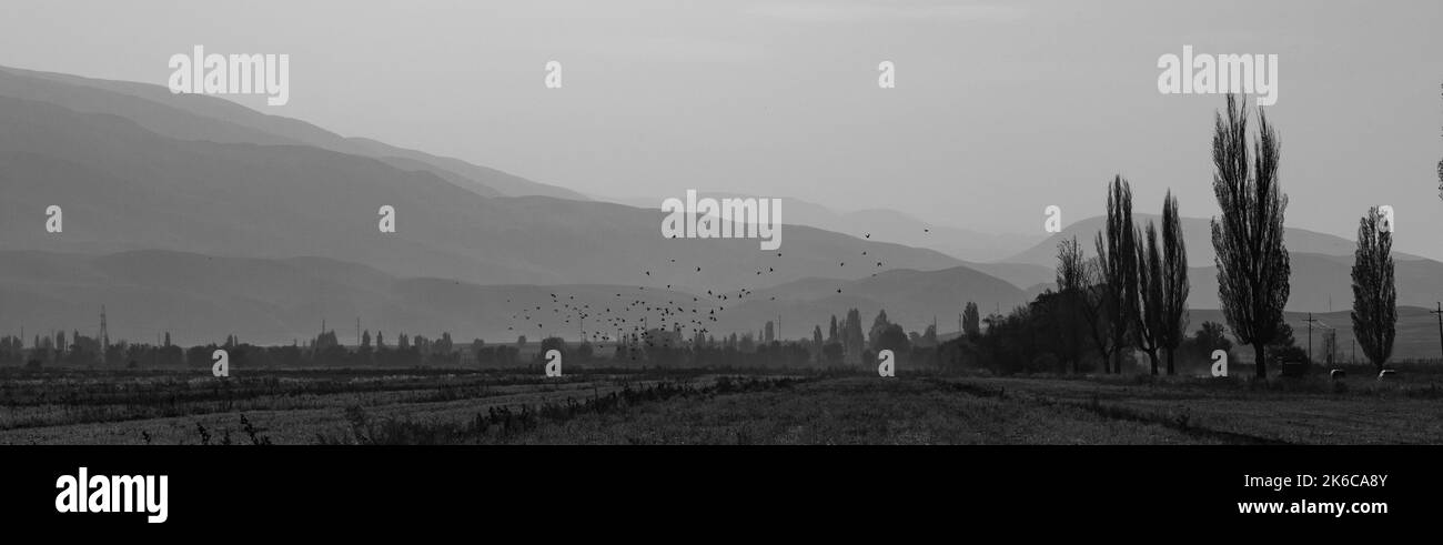 Dramatische schwarz-weiße Landschaft mit Vögeln Stockfoto