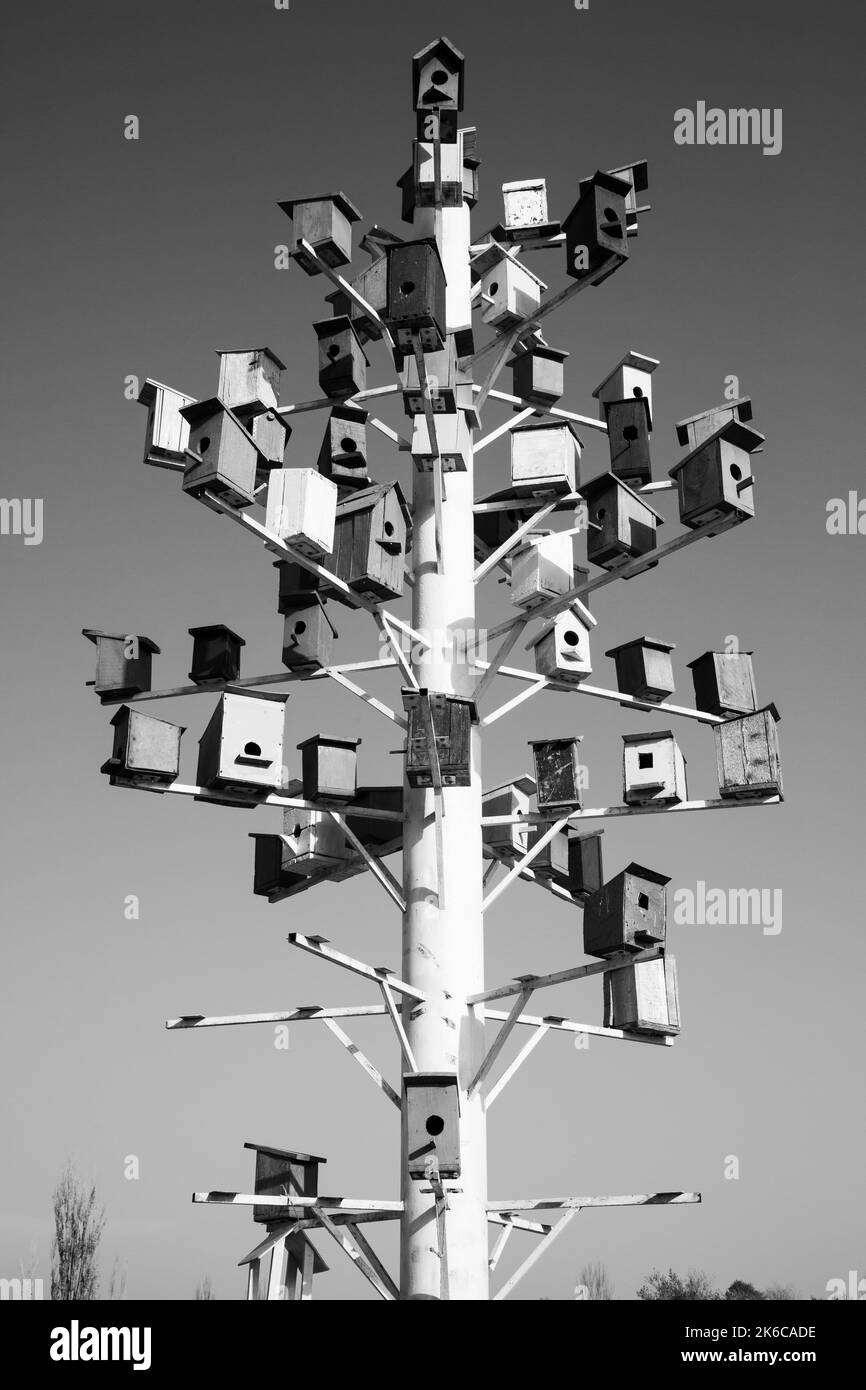 Schwarz-Weiß-Foto von Vogelhäusern Stockfoto