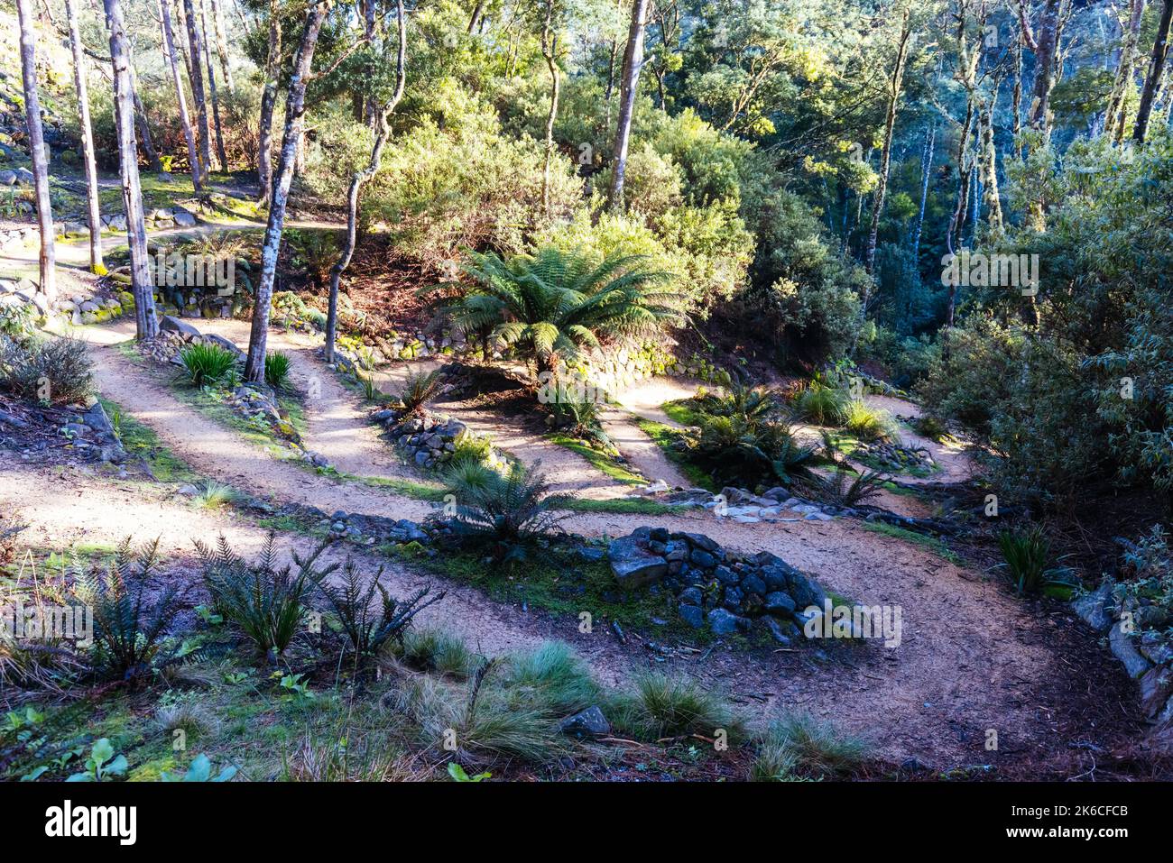 Blue Derby Bike Network Tasmania Australien Stockfoto