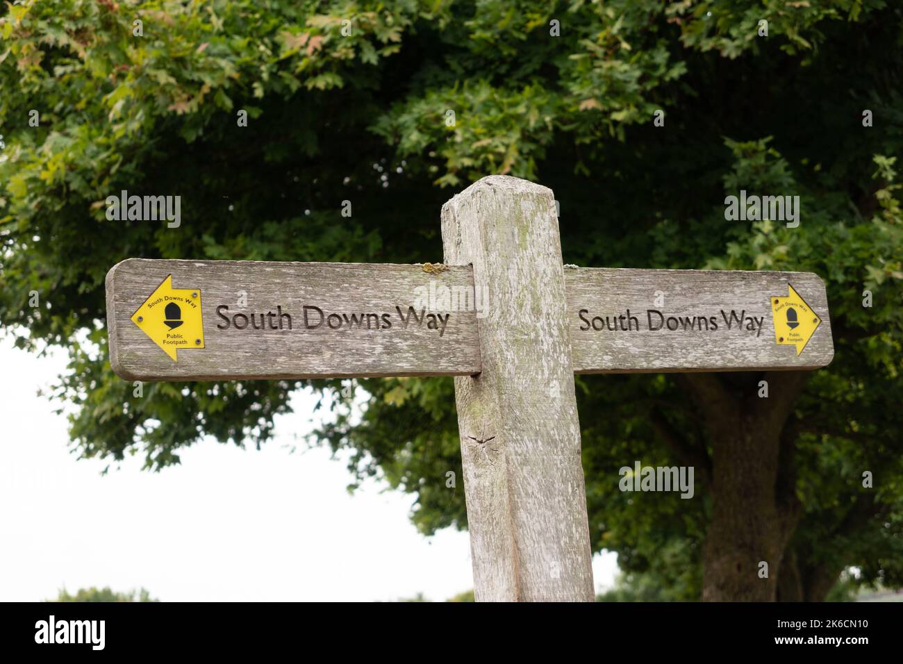 Hölzerner Wegweiser mit Wanderzeichen für den South Downs Way in Hampshire England Stockfoto