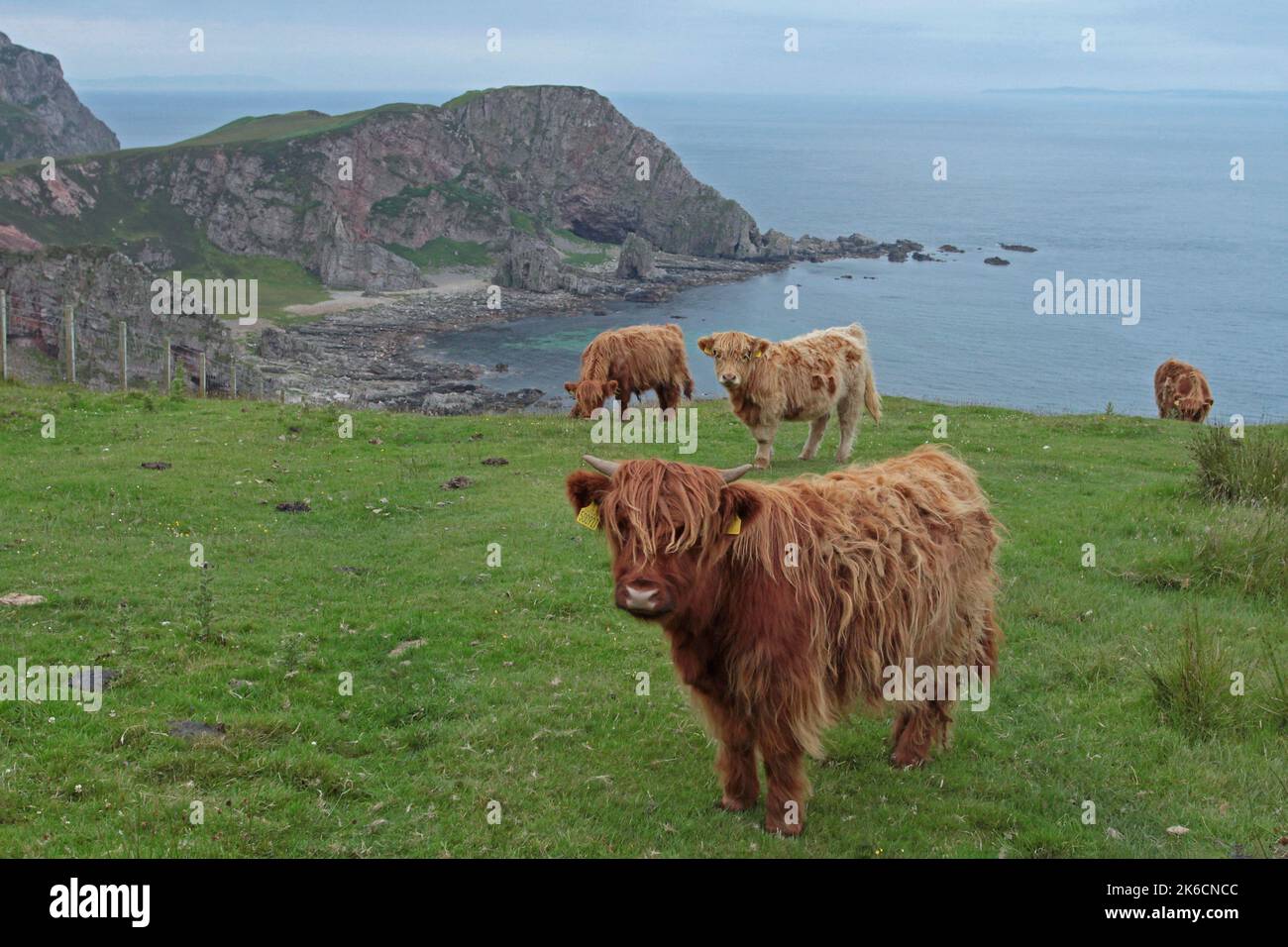 Mull of OA, Islay, Hebriden, Inner Hebriden, Inner Isles, Schottland, Vereinigtes Königreich, Großbritannien Stockfoto