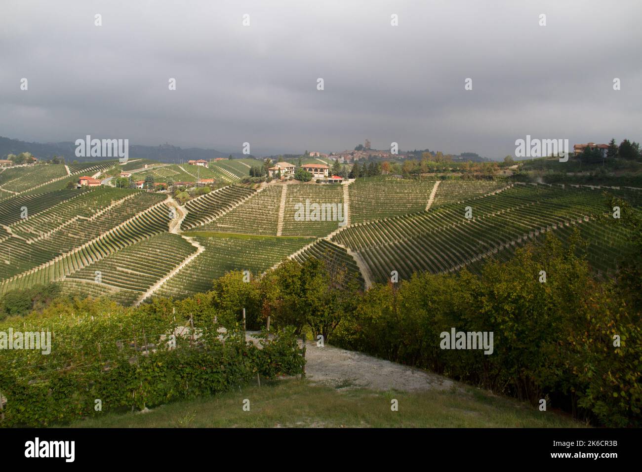 Hügelige Landschaft mit Weinbergen in der Toskana, Italien Stockfoto