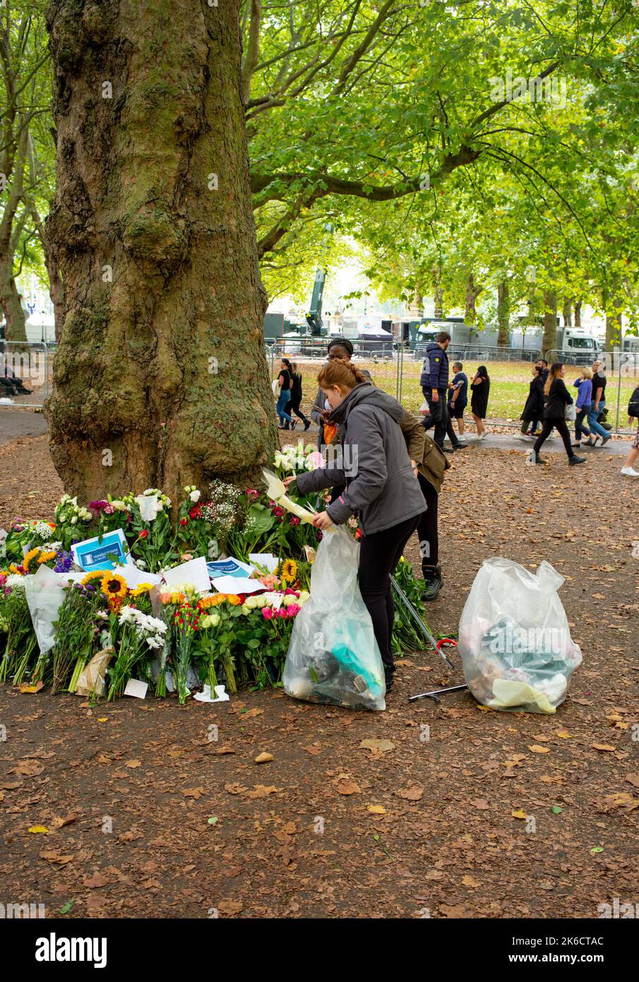 Freiwillige entfernen Plastikverpackungen von Blumen, die im Green Park hinterlassen wurden, um die verstorbene Königin Elizabeth, den 2., zu ehren. Stockfoto