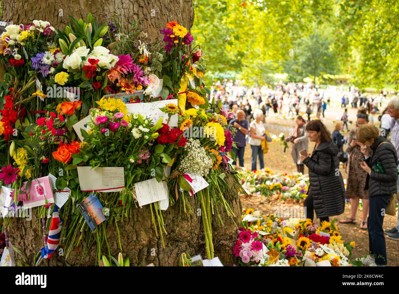 Mitglieder der Öffentlichkeit kommen im Green Park London UK zusammen, um Blumen zu legen und unter den Ehrungen an die verstorbene Königin Elizabeth die zweite zu spazieren. Stockfoto