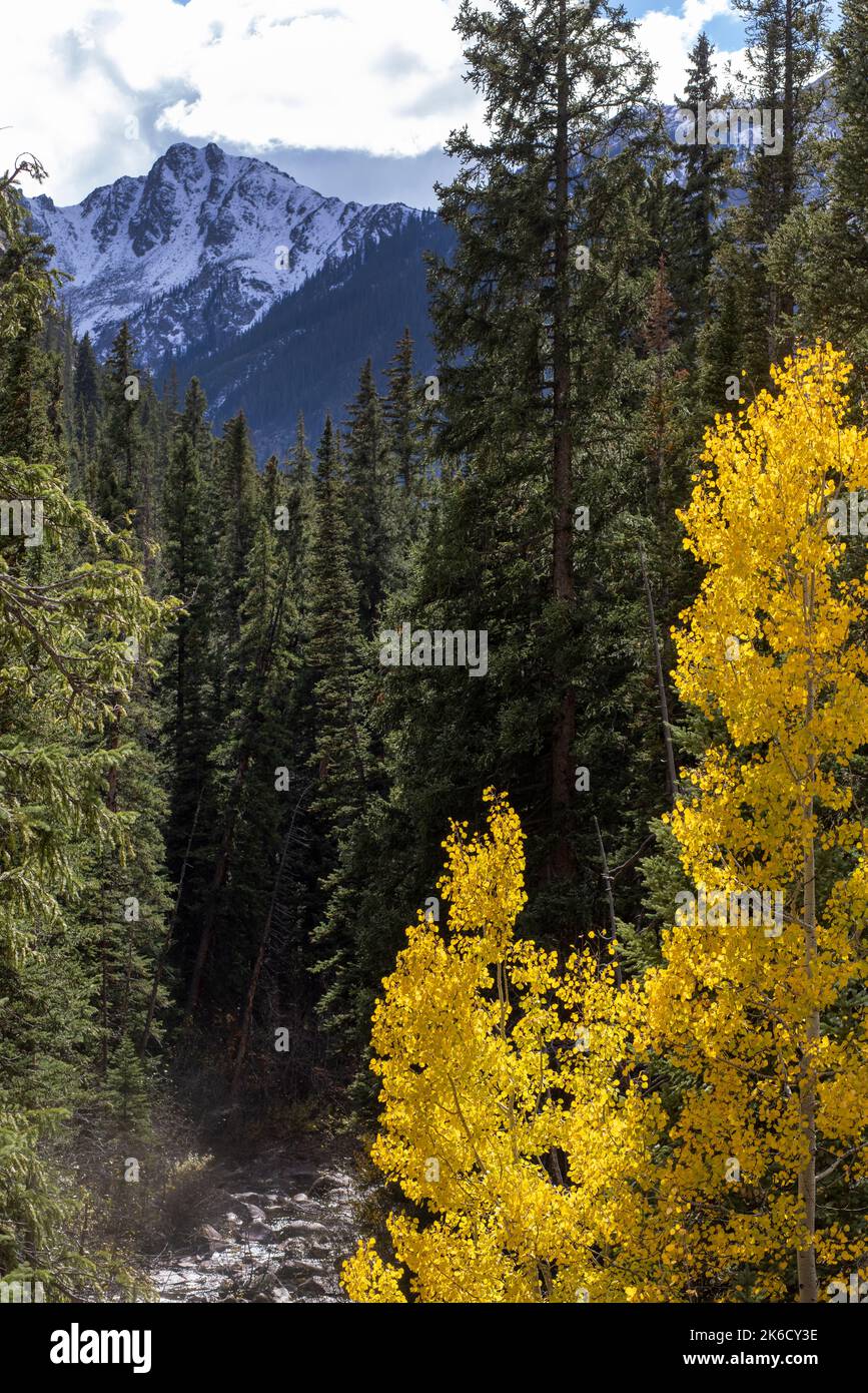 Unabhängigkeitsfahrt auf der Continental Divide im Sawatch Range der Rocky Mountains Stockfoto