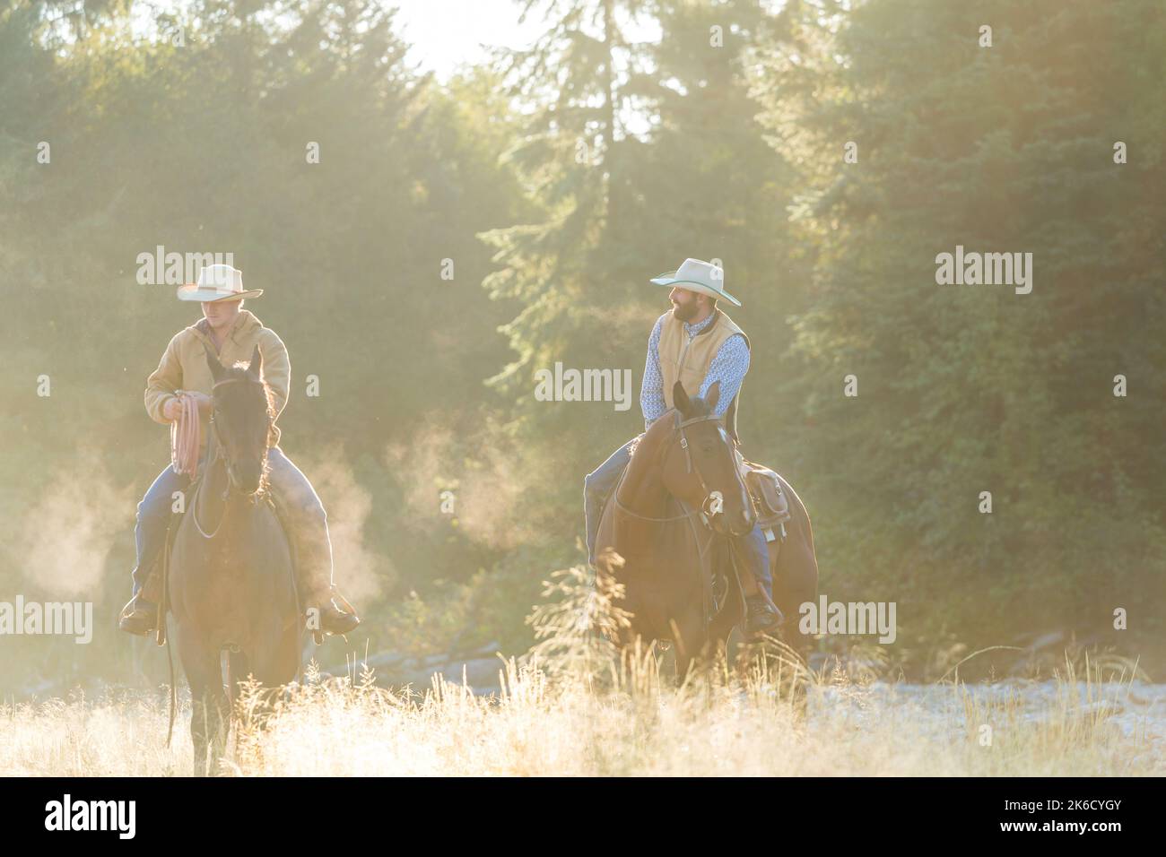 Cowboys und Pferde, British Columbia, Kanada, Nordamerika Stockfoto