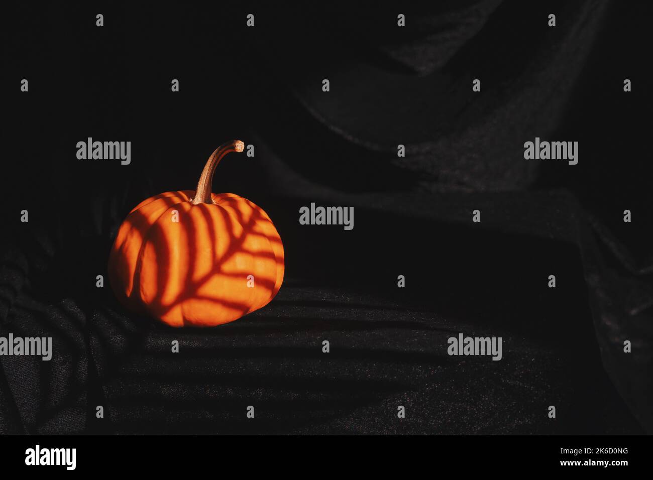 Kürbis auf schwarzem Samthintergrund, eleganter Halloween Hintergrund Stockfoto