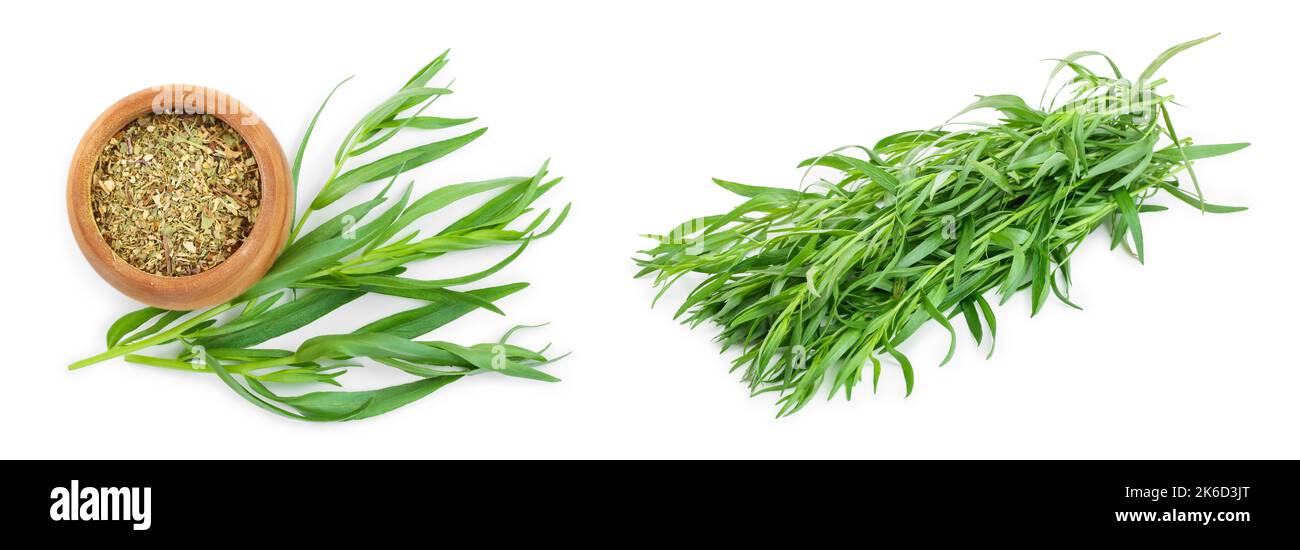 Estragon oder Estragon auf einem weißen Hintergrund. Artemisia dracunculus. Ansicht von oben. Flach Stockfoto