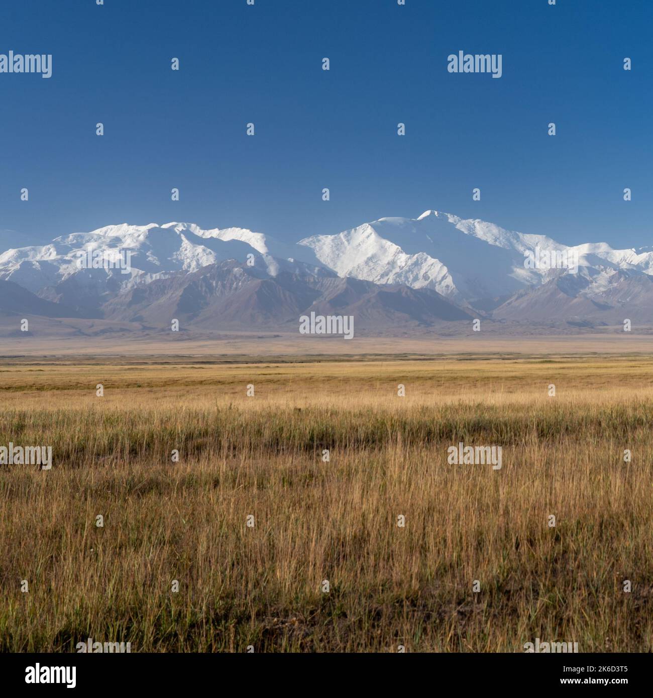 Sonniger Blick am Morgen auf die spektakuläre schneebedeckte Trans Alay-Bergkette mit dem Lenin-Gipfel alias Ibn Sina-Gipfel im Süden Kirgisistans Stockfoto