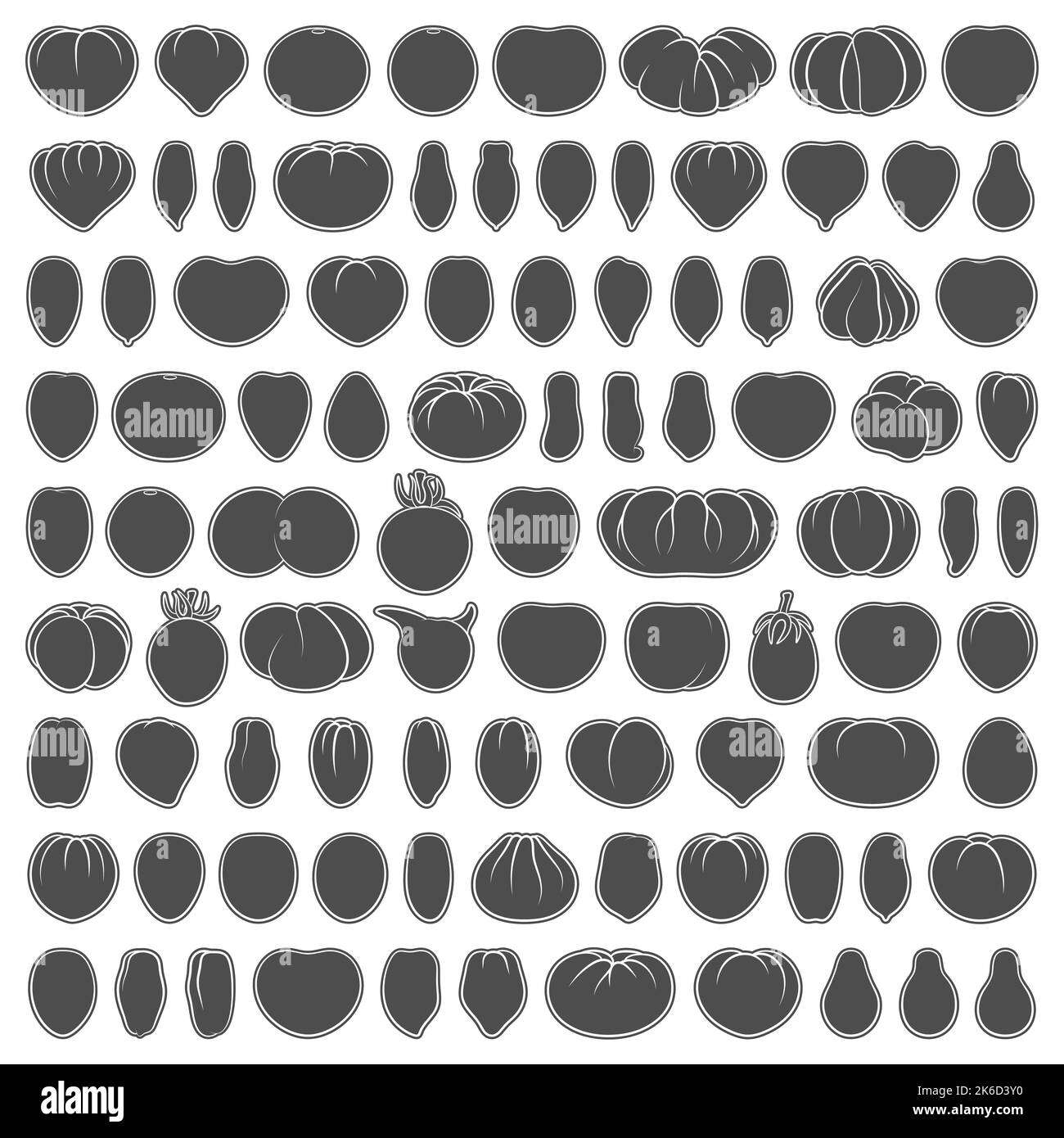 Set mit schwarzen und weißen Illustrationen mit Tomaten verschiedener Sorten und Formen. Isolierte Vektorobjekte auf weißem Hintergrund. Stock Vektor