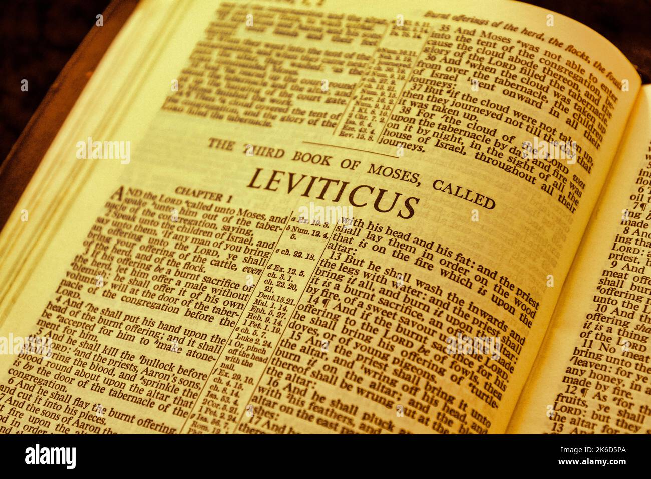 Nahaufnahme der antiken Heiligen-Bibel-Seite, geringe Schärfentiefe mit Fokus auf Kapitelüberschrift, Leviticus Stockfoto