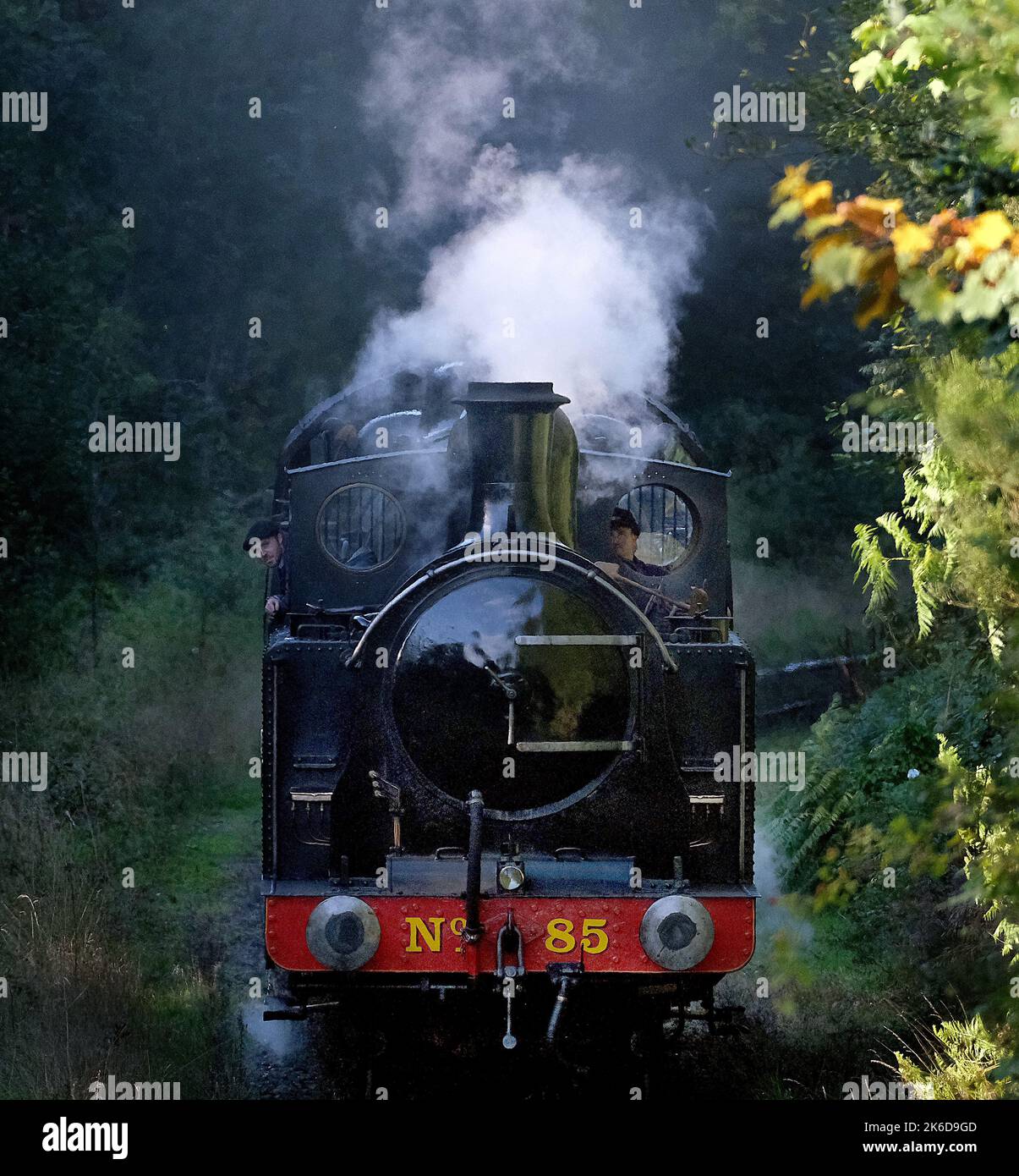 North Yorkshire Moors bewahrt Eisenbahn Dampf Gala-Veranstaltung. Oktober 2022. Stockfoto