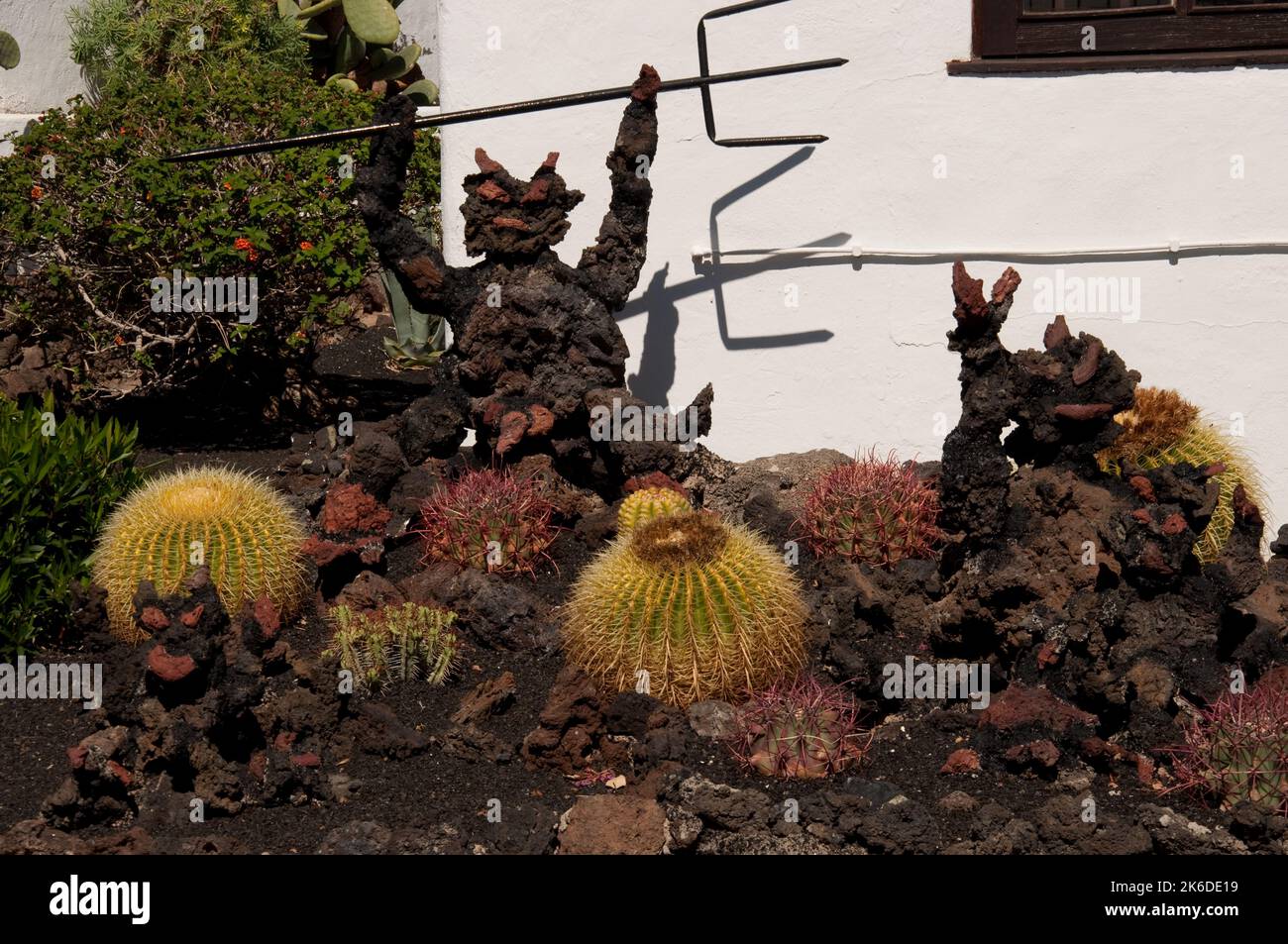 Garten mit Kakteen und dem Teufel, die Vulkane darstellen, Puerta del Carmen, Lanzarote, Kanarische Inseln. Lanzarote hat sehr wenig Regen und 25% davon Stockfoto