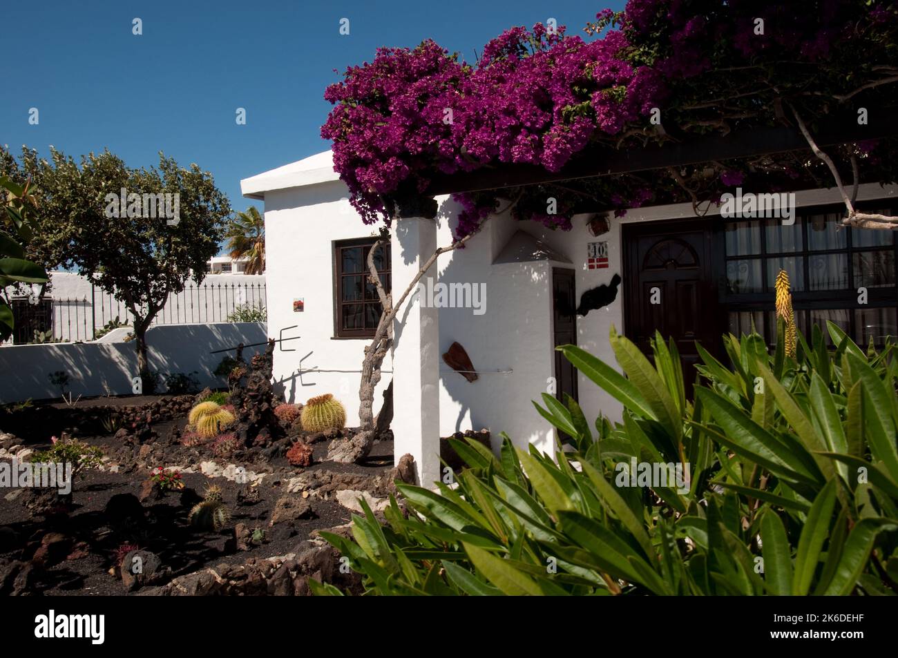 Garten mit Kakteen und dem Teufel, die Vulkane darstellen, Puerta del Carmen, Lanzarote, Kanarische Inseln. Lanzarote hat sehr wenig Regen und 25% davon Stockfoto