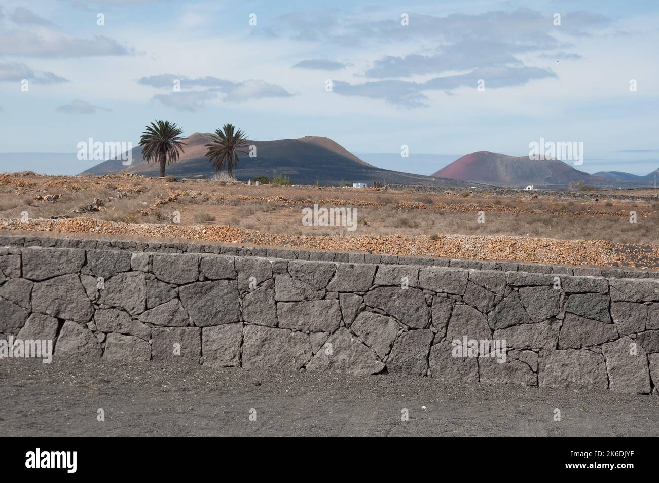 Vulkane (Blick vom Monument für Bauern), San Bartolome, Lanzarote, Kanarische Inseln. Palmen, Lavawände, Felder und Vulkane. Stockfoto