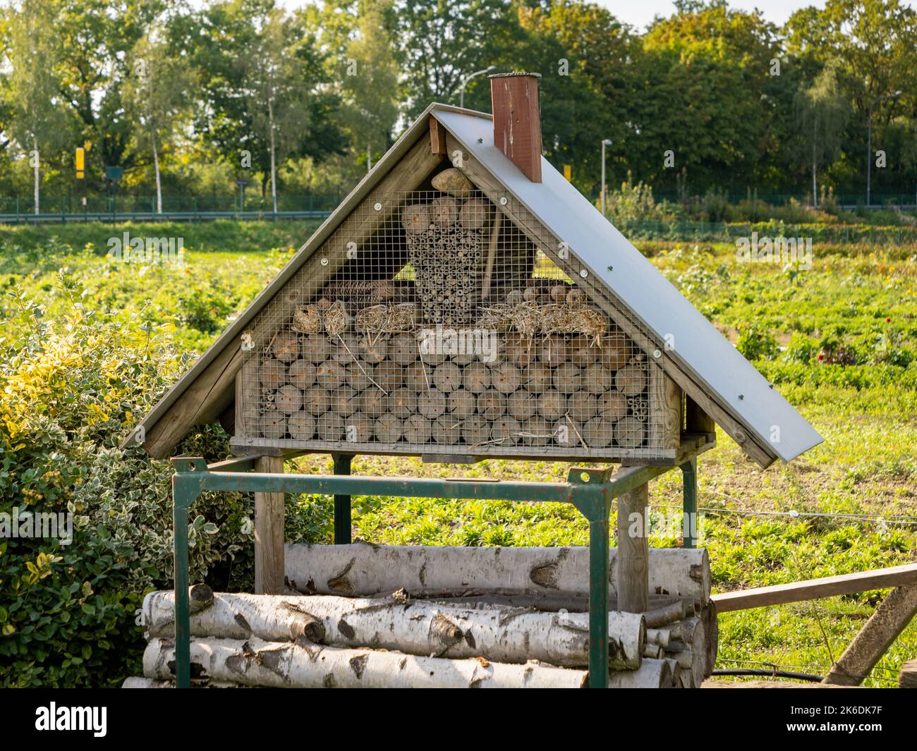 Insektenhotel in einer ländlichen Gegend. Insektenhaus als eine Struktur, um Schutz für kleine Insekten zu bieten. Verschiedene Formen mit verschiedenen Größen für Bienen und Wanzen Stockfoto