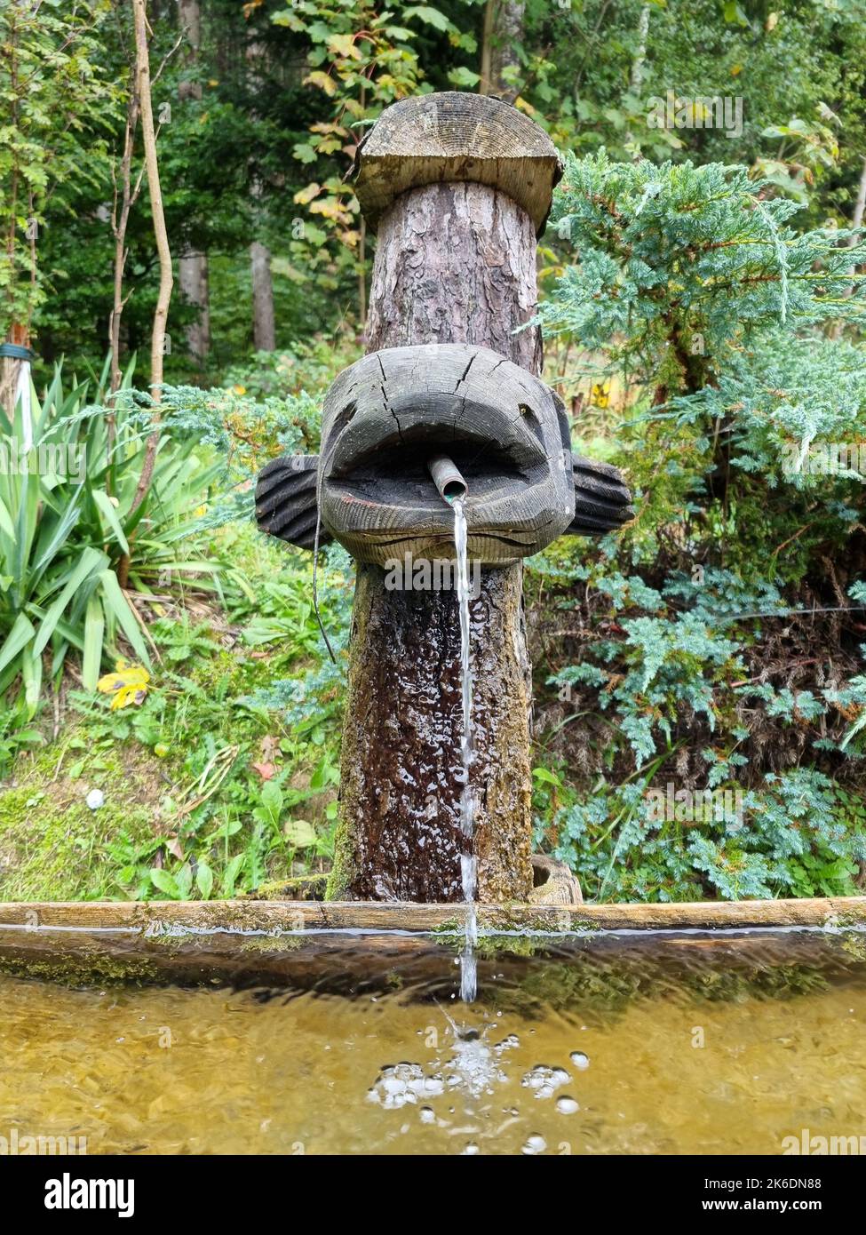 Ein mit Fischen geschmückter Brunnen in einem Wald Stockfoto